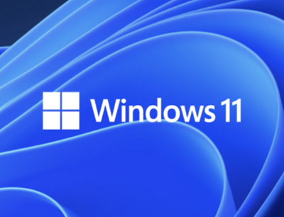 由于新更新，Windows 11系统的一个关键部分对一些用户而言已经消失