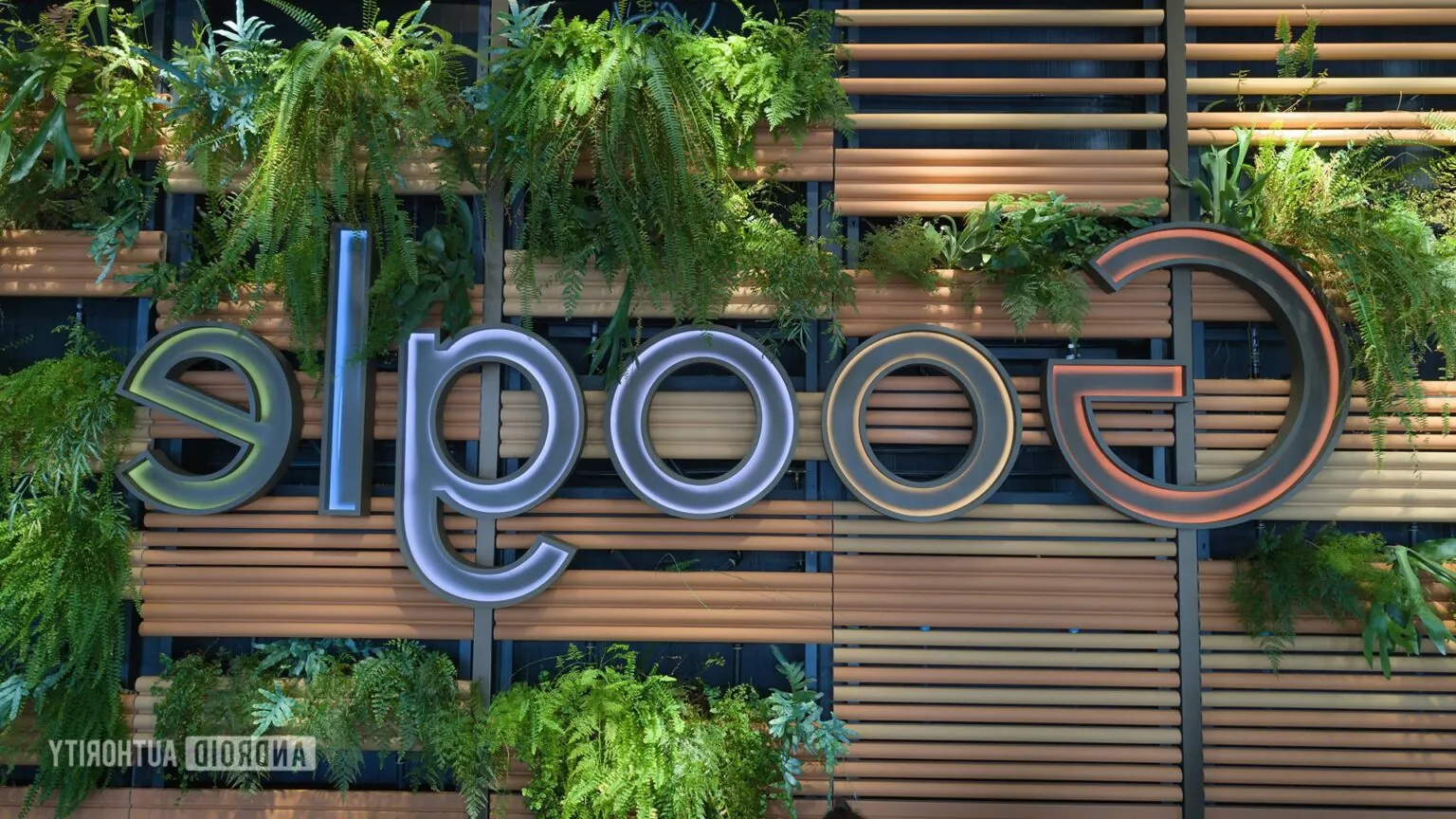 谷歌相册终于让你修复所有镜像自拍照 - 智软网