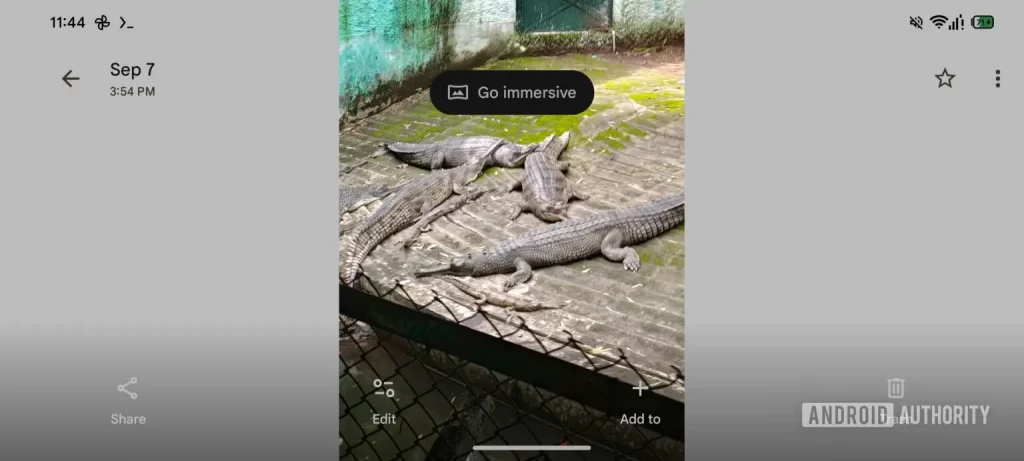 Google Photos 正在为 Android XR 的盛大亮相做准备