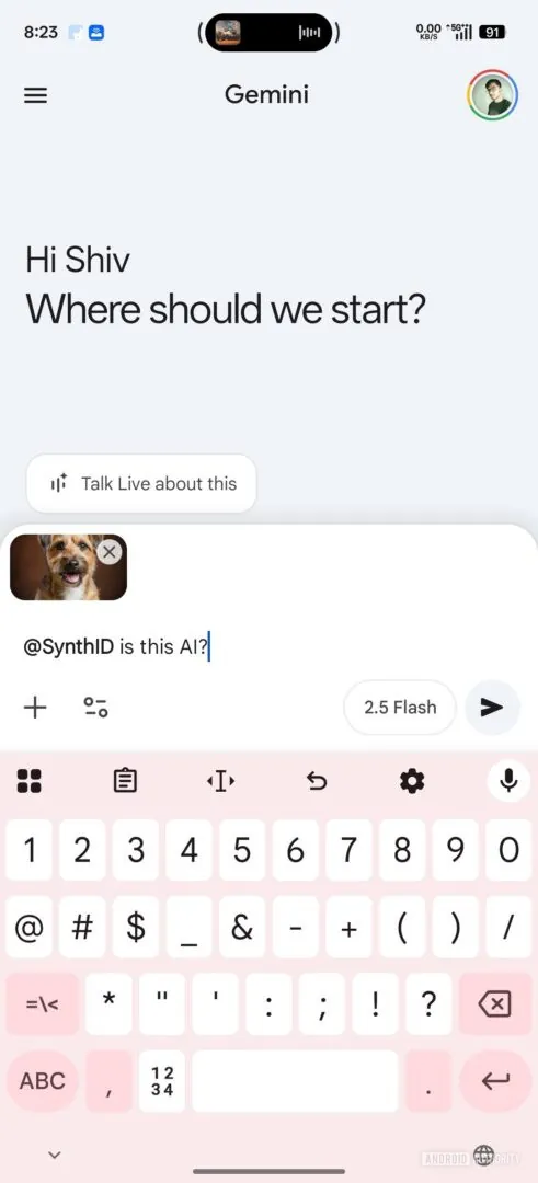 Gemini 或将迎来迄今最实用的升级：识别 AI 制作内容